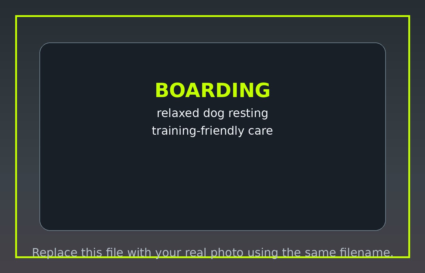 Structured dog boarding placeholder