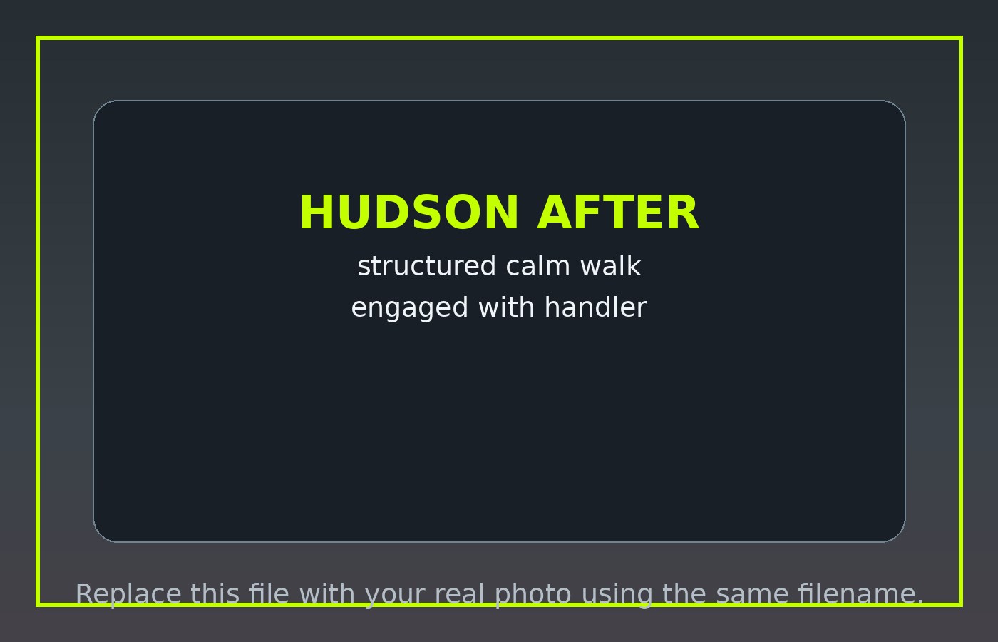 Hudson after placeholder