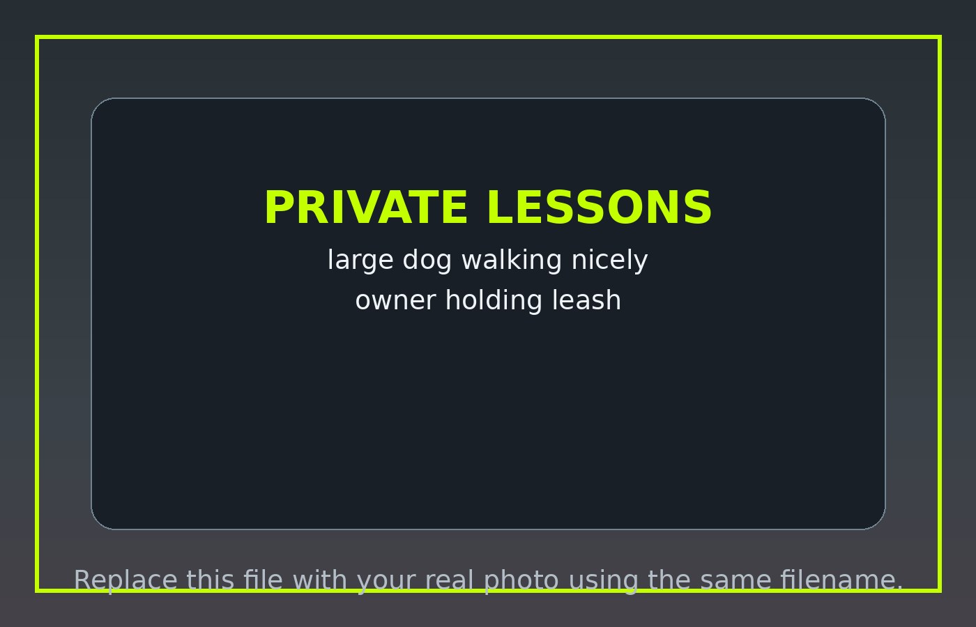 Private dog training lesson placeholder